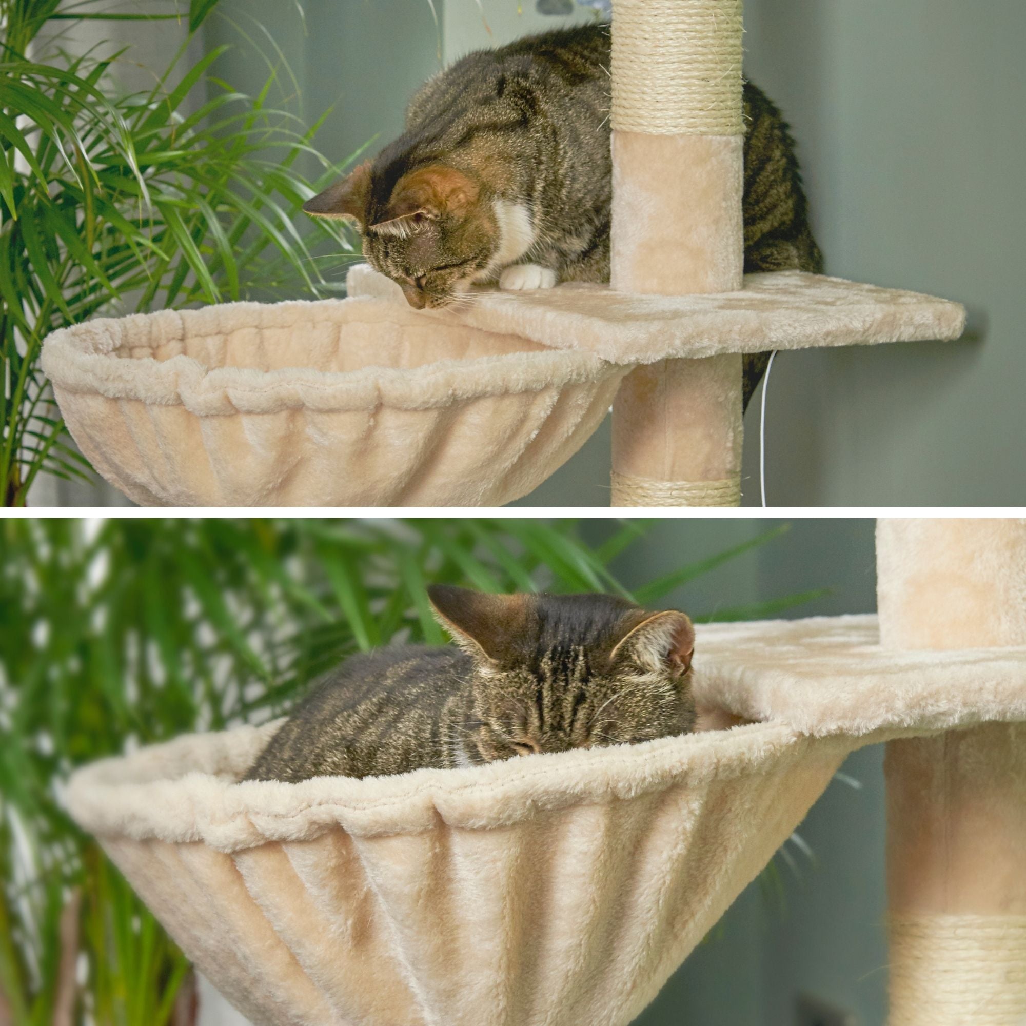 RuneSol Cat Hammock Bed for use with Floor to Ceiling Cat Tree