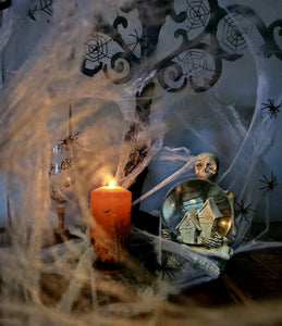 Haus Projekt Halloween 60g White Spider Web Decoration with 30 Fake Sp –  Buy Definition