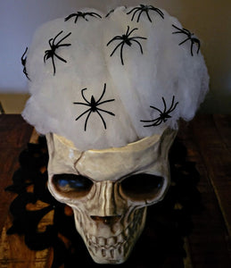 Haus Projekt Halloween 60g White Spider Web Decoration with 30 Fake Spiders