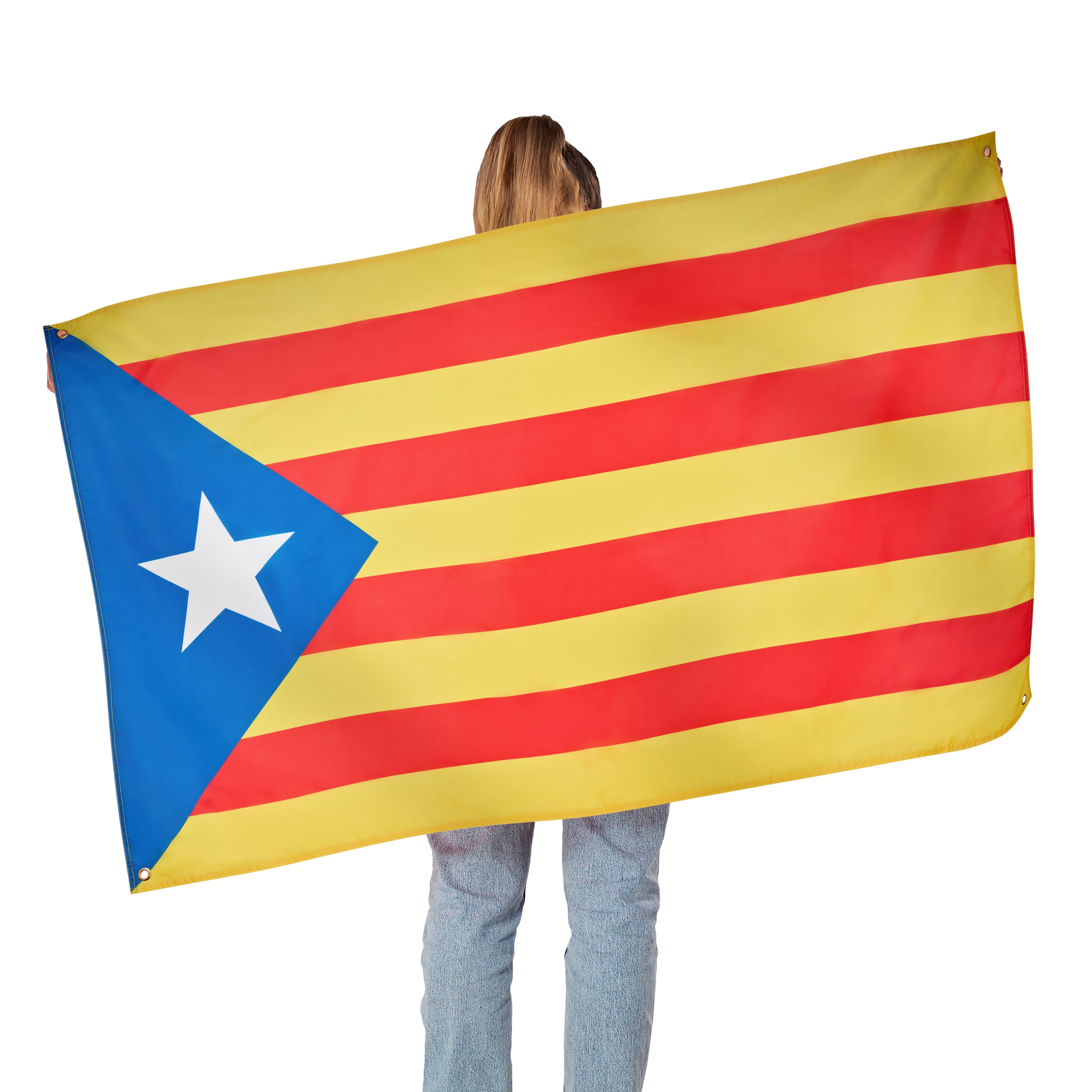 RuneSol Premium Large 5x3ft SPANISH REGIONAL Flags