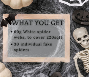 Haus Projekt Halloween 60g White Spider Web Decoration with 30 Fake Spiders