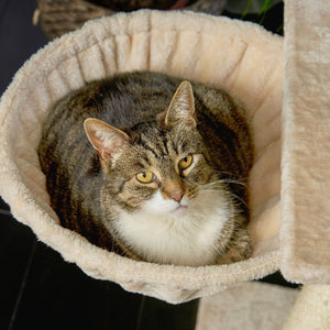 RuneSol Cat Hammock Bed for use with Floor to Ceiling Cat Tree