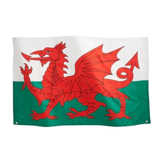 RuneSol Premium Large 5x3ft NATIONAL Flags